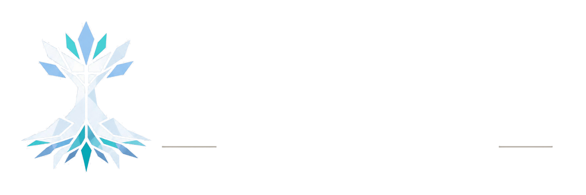Etzah Consulting